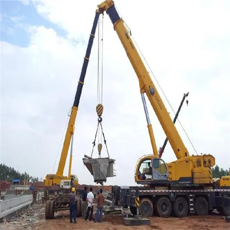 积玉口镇小型吊机出租电话|厂房设备吊装方案|24小时服务覆盖